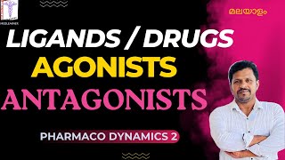 Pharmacodynamics Agonists Antagonists Partial Agonists Inverse Agonists Pharmacology Malayalam [upl. by Ahsrat802]