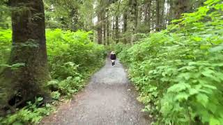 Hiking a Trail at the Sitka National Historical Park [upl. by Aivatra]