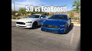 2019 Mustang GT vs 2019 Mustang EcoBoost RACE [upl. by Suilenroc]