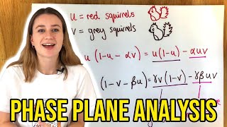 Math Biology Population Competition Model Red vs Grey Squirrels [upl. by Yk]