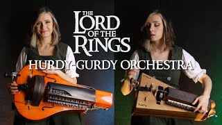 The Lord of the Rings  THE RIDERS OF ROHAN hurdygurdy instrumental [upl. by Kelci745]