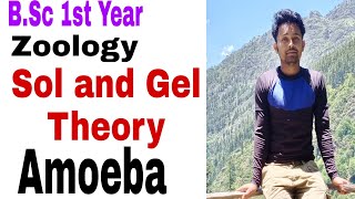 Sol and gel theory of locomotion in amoeba BSc 1st year zoology [upl. by Aowda204]