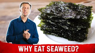 What is Seaweed – DrBerg Explains Roasted Seaweed Benefits [upl. by Zerlina917]