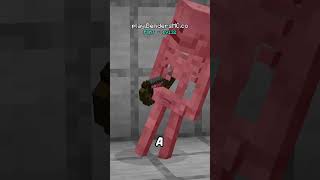 Schrödingers Skeleton minecraft [upl. by Madden]