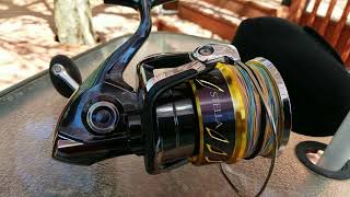 Shimano stella sw 30000The Best Spinning Reels On Planet [upl. by Zindman]