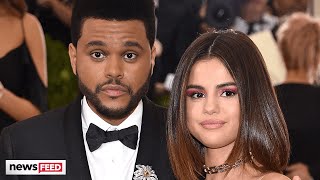 The Weeknd SHADES Selena Gomez In NEW Song [upl. by Enyamrahs865]