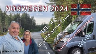 Teil 4 unserer Reise nach Norwegen Gamle Strynefjellsvegen [upl. by Tenay]