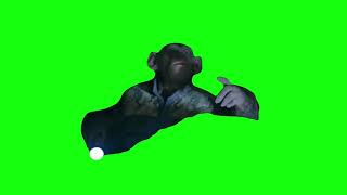 Oh No Planet of the Apes Meme Green Screen [upl. by Anawk377]