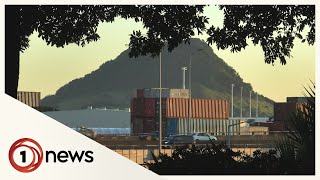 Air pollution killing at least 13 people every year in Mount Maunganui – report [upl. by Indyc]