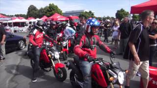 2014 Honda Grom Review [upl. by Yllus713]