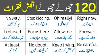 120 Daily Use English Speaking Practice Sentences with Urdu Translation  Grammareer [upl. by Kariv]