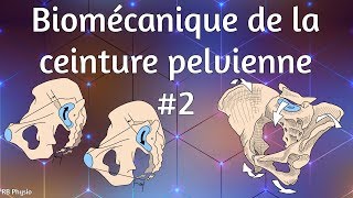 Biomécanique de la ceinture pelvienne 2  Nutation amp Contrenutation [upl. by Ssew]