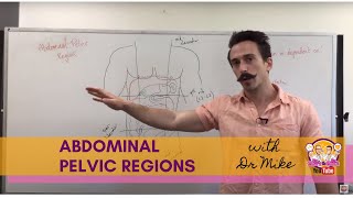 Abdominal Pelvic Regions [upl. by Odnavres]