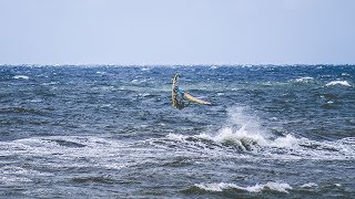 Die südlichste Landspitze vom Baltikum  Endlich am Meer  Litauen S03 EP14 [upl. by Mordecai]