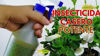 como hacer insecticida casero chuyito jardinero [upl. by Garzon689]