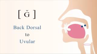 ɢ̆  ʀ̆  voiced dorsal uvular tap [upl. by Arraik]