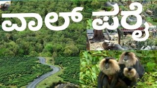 VALPARAI  2nd PUC  KANNADA  LESSON EXPLAINED [upl. by Ahseital]