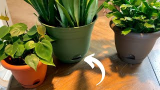 Self Watering Pots Explained  Easy Plant Care [upl. by Inessa]