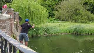 Naughty fishing in Verulamium Lake St Albans 3rd Aug 2024 [upl. by Jerrold]