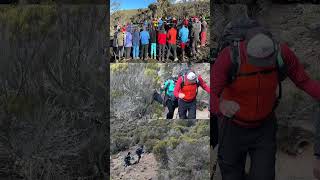 Mount Kilimanjaro Hiking Highlights [upl. by Dreher]