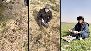 مكشات ولقط فقع في حفرالباطن 😍 الخميس 2021128 Truffle Festival in Saudi Arabia [upl. by Arabeila950]