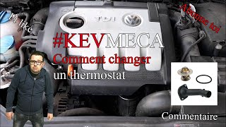 Comment remplacer un thermostat [upl. by Teagan]