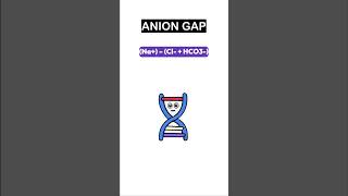 Anion gap bacteria biochemistry HOLOGY [upl. by Hecker295]