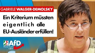 Ein Kriterium müssten eigentlich alle EUAusländer erfüllen – Gabriele WalgerDemolsky AfD [upl. by Netsirhk]