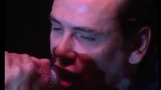 The Godfathers  live Swiss festival full gig 1988 [upl. by Skier719]