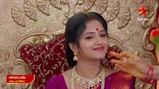 NagaPanchami  Promo  29th Mar 2024  Star Maa Serials  MonSat at 6 pm  Star Maa [upl. by Eerehc]