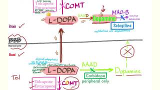 Parkinson’s Pharmacology  Neurology [upl. by Notsirb369]