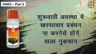 Laudis Herbicide Get Rid Of Weeds in Corn Hindi  Bayer Crop Science India [upl. by Notnef124]