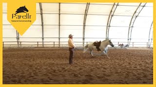 Train Your Horse to Circle with Pat Parelli [upl. by Lorrimer936]