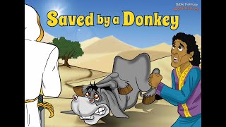 Saved By A Donkey  The Adventures of Balaam [upl. by Mccarty]