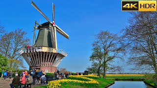 Keukenhof Netherlands🌷Tulip Gardens💐Virtual Walk Full Tour of Keukenhof 4K HDR [upl. by Nerual927]