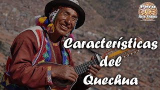 ✍ Características del Idioma Quechua  Aprendiendo Quechua [upl. by Anaitat]