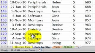 How to Filter Excel Data and Save as a Custom View [upl. by Acinot301]