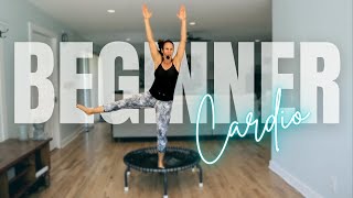 Beginner Trampoline Workout  Rebounder Cardio  Jump it [upl. by Pieter]