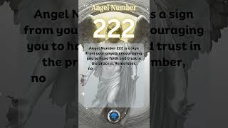 Angel Number 222 angelnumbers angel shorts shortsvideo [upl. by Leacim134]