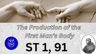 Study the Summa ST 1 91 The Production of the First Mans Body [upl. by Georgine]