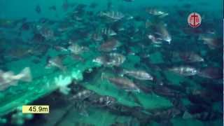 Underwater video of the wreck of the hospital ship Warilda torpedoed in the English Channel [upl. by Aketal]