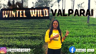 Wintel Wild Resort  Valparai  Glass House of Valparai [upl. by Llerrot]