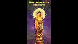 Popular Namo Amida Butsu chant shorts [upl. by Agarhs]