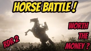 Horse Battle  Turkoman VS Norfolk Roadster  Red Dead Online RDR 2 [upl. by Nedah]