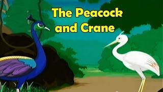 The Peacock and Crane  Tales of Panchatantra English Story [upl. by Rafa666]