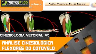 Análise Cinesiológica dos Flexores do Cotovelo  Cinesiologia Vetorial 9 [upl. by Llenrahs]