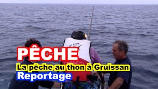 PÊCHE  La pêche au thon à Gruissan SD [upl. by Pritchett868]