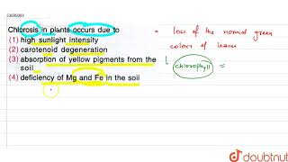 Chlorosis in plants occurs due to [upl. by Winter889]