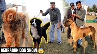 Biggest Dog Show in Uttarakhand  Dehradun Dog Show 2023😱 [upl. by Auahsoj]