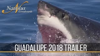 Guadalupe Great White Sharks l 2018 Trailer [upl. by Soraya]